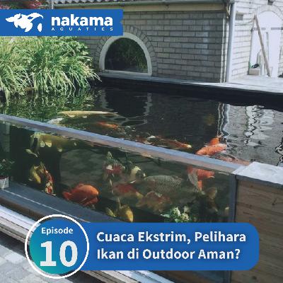 Eps 10 : "Cuaca Ekstrim, Pelihara Ikan di Outdoor Aman?" Eps 10 : "Cuaca Ekstrim, Pelihara Ikan di Outdoor Aman?"