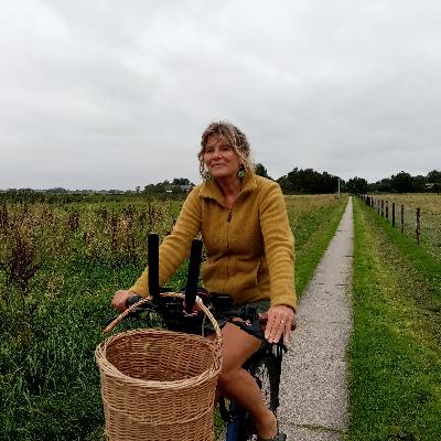 #11 Het ideale fietspad