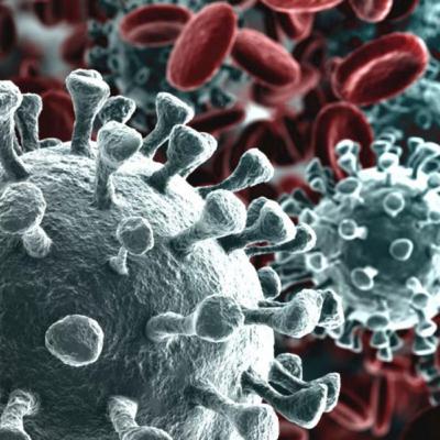 CORONAVIRUS. How did China manage the pandemic?