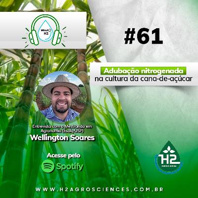 Adubação nitrogenada na cultura da cana-de-açúcar
