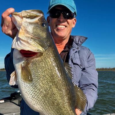 350 - Researching Florida's fisheries, from Lionfish to forward facing sonar, with Dr. Mike Allen