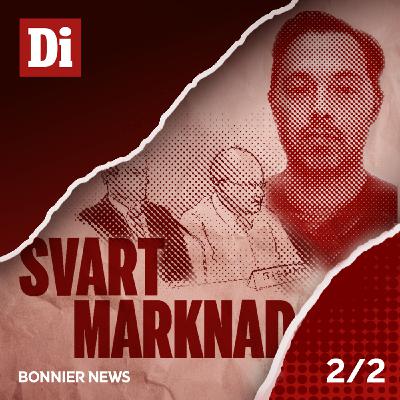 Miljardsvindeln Falcon Funds - jakten på Max Serwin (2/2)