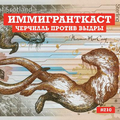 Черчилль против Выдры - выпуск 210