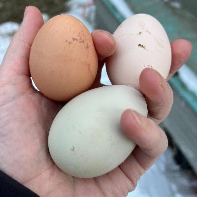 Hold One Thing Close Hold One Thing Close