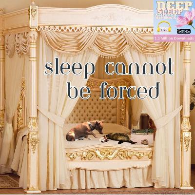 (10 hours) #513 (ASMR) Sleep cannot be forced - Deep Sleep Whisper Hypnosis