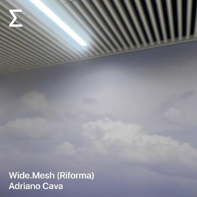 Wide.Mesh (Riforma) – Adriano Cava