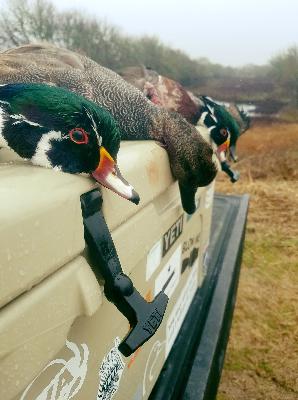 Cast Blast Grill Chill #16