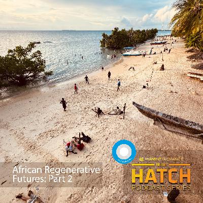 African Regenerative Futures: Part 2