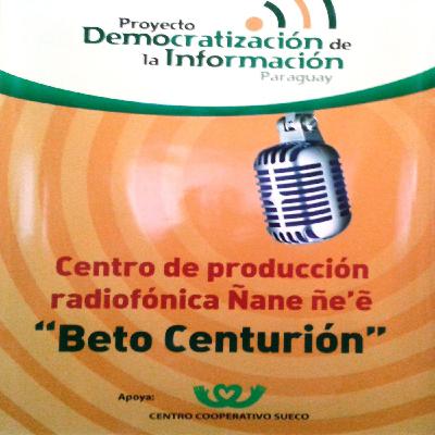 Jornada departamental en Concepción
