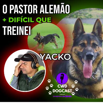 O PASTOR ALEMÃO MAIS CASCA GROSSA QUE TREINEI l YACKO V. CAP ARKONA l DOGCAST#02