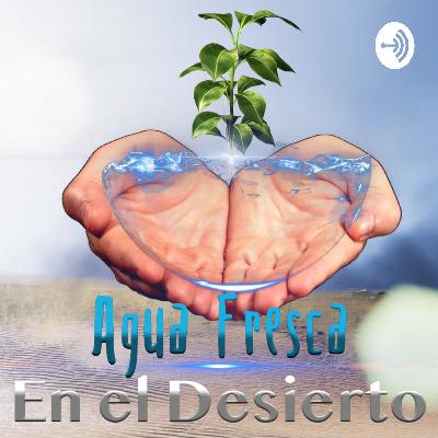 DIOS NOS REDIMIO EN CRISTO