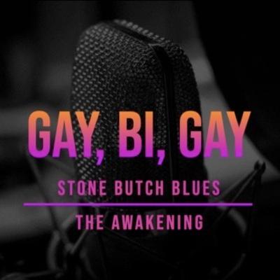 Stone Butch Blues: The Awakening