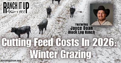 Cutting Feed Costs In 2026 With Winter Grazing, Cattle News, And Bull Sales