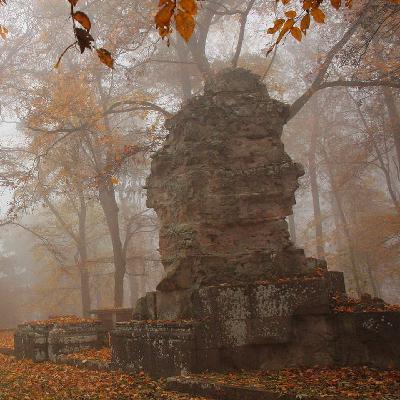 Das Kloster Disibodenberg als Wirkungsort der Hildegard von Bingen