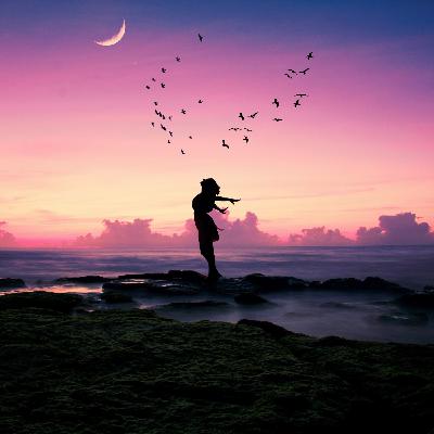 QUANTUM8-SEARCH YOUR FREEDOM