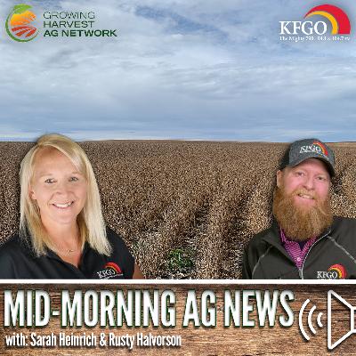 Mid-morning Ag News, November 18, 2025: Wet weather creates harvest challenges