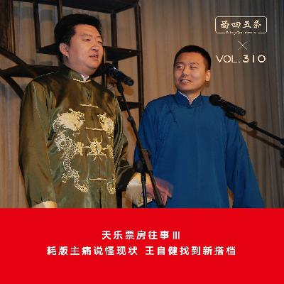 310 天乐票房往事Ⅲ：耗版主痛说怪现状，王自健找到新搭档