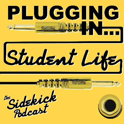 Plugging in... the coding world
