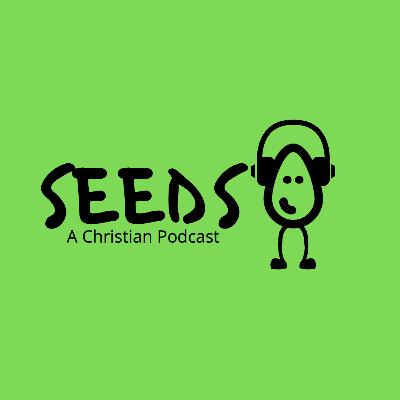 Introduction: What is "Seeds"?