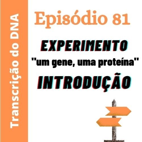 Alegoriapodcast