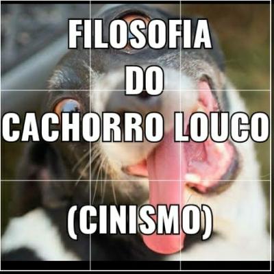 A Filosofia do Cachorro Louco (cinismo de Diógenes)