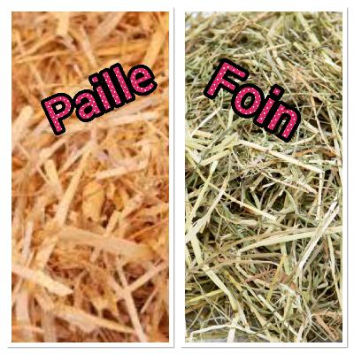 la paille et le foin