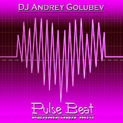DJ Andrey Golubev - Pulse beat (promenad mix) (http promodj.com golub)