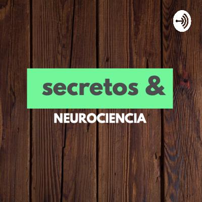 Efectos de la música en el cerebro