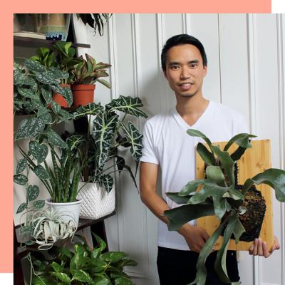 Darryl Cheng | The Importance of Proper Plant Lighting & Plant Courses | Wine Down the Week Ep 7 Darryl Cheng | The Importance of Proper Plant Lighting & Plant Courses | Wine Down the Week Ep 7