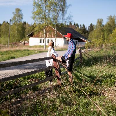 Suomen kesä