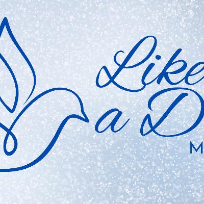 Like a Dove January 14, 2024