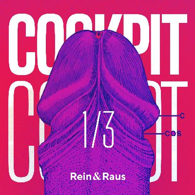 #236 › COCKPIT 1/3: Von Leistungsdruck zum sexuellen Selbstvertrauen – Erektionsprobleme und unbewusste sexuelle Angst