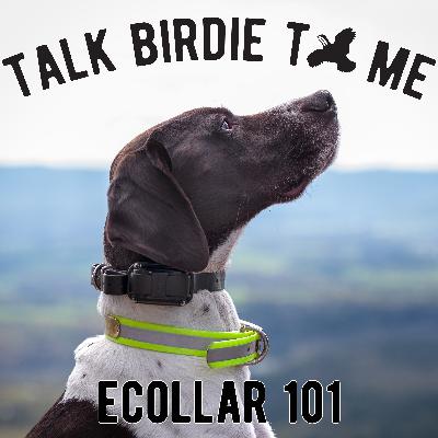 16 | Ecollar Discussion - What, Why and How 16 | Ecollar Discussion - What, Why and How