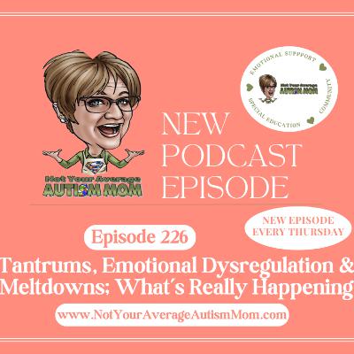 226. Tantrums, Emotional Dysregulation & Meltdowns; What’s Really Going On 226. Tantrums, Emotional Dysregulation & Meltdowns; What’s Really Going On