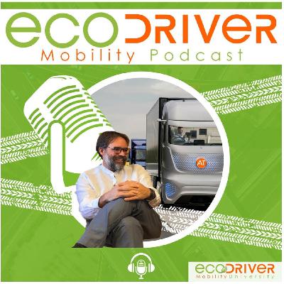 El derecho a la movilidad