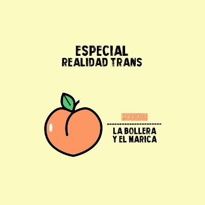 ESPECIAL - REALIDAD TRANS