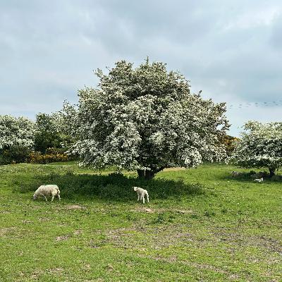 Farmers protest compulsory purchase orders - why? Farmers protest compulsory purchase orders - why?