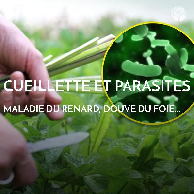 Parasites et cueillettes Parasites et cueillettes