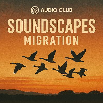 Soundscapes Migration by Audio Club