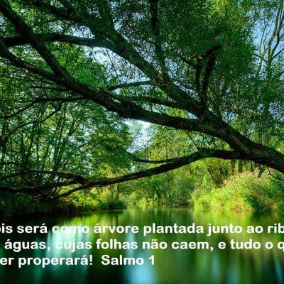 Salmo 1