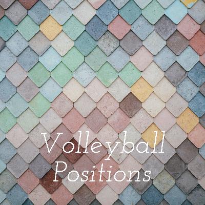 Volleyball Positions