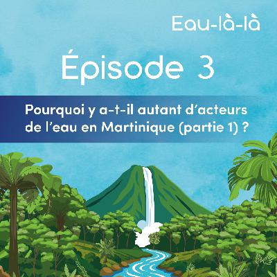 Épisode 3 - Pourquoi y a-t-il autant d’acteurs de l’eau en Martinique (partie 1) ?