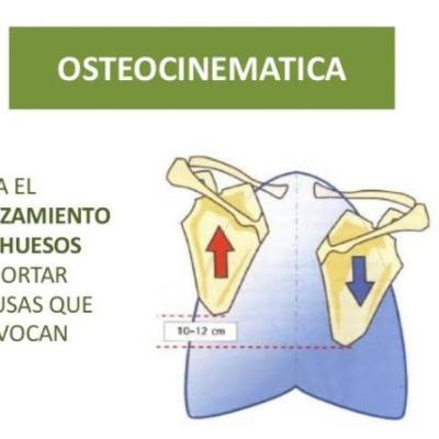 Episodio 2. Artrocinemática y Osteocinemática. Episodio 2. Artrocinemática y Osteocinemática.