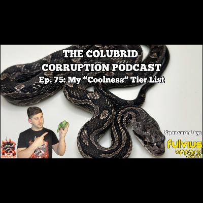 My "Coolness" Colubrid Tier List | The Colubrid Corruption Podcast | Ep. 75 My "Coolness" Colubrid Tier List | The Colubrid Corruption Podcast | Ep. 75