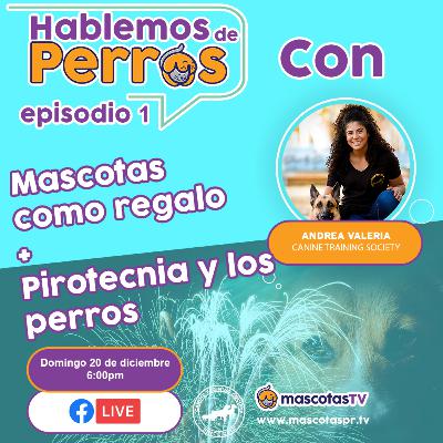 PIROTECNIA Y PERROS COMO REGALO | HDP EP 1 PIROTECNIA Y PERROS COMO REGALO | HDP EP 1