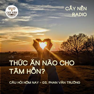Thức ăn nào cho tâm hồn? | GS Phan Văn Trường | Cấy Nền Radio | #CauHoiHomNay138