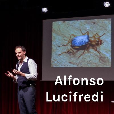 Gli straordinari pesci elettrici