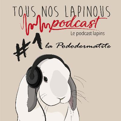 Podcast TNL #1 La Pododermatite chez le lapin Podcast TNL #1 La Pododermatite chez le lapin