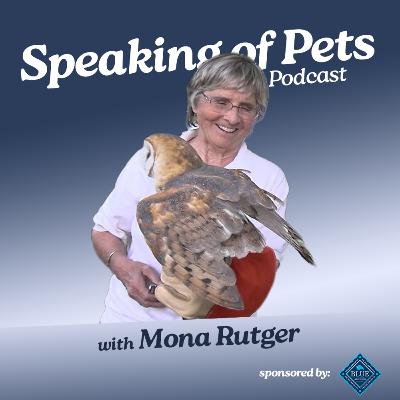 Back to the Wild: Wings, Wisdom & New Beginnings | SOP ep. 83 - Mona Rutger Exclusive Tour Back to the Wild: Wings, Wisdom & New Beginnings | SOP ep. 83 - Mona Rutger Exclusive Tour