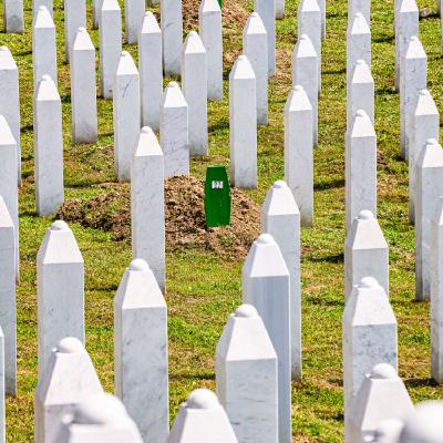 Le génocide de Srebrenica